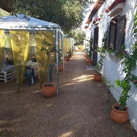 Killini The Small Cyclades