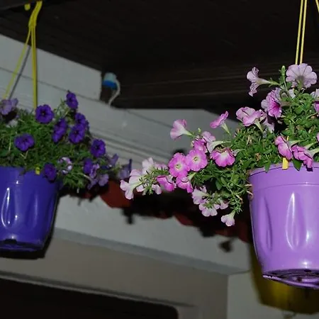 Killini The Small Cyclades