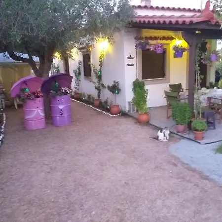 Killini The Small Cyclades