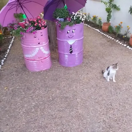 Guest house Killini The Small Cyclades Kastro-Kyllini