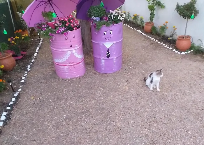 Pensjonat Killini The Small Cyclades Kastro-Kyllini