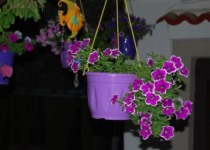 Killini The Small Cyclades Pensjonat 3*