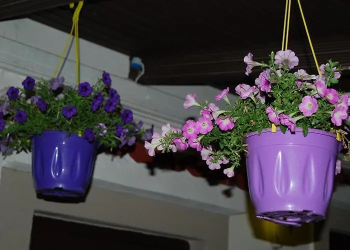 Killini The Small Cyclades